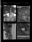 Evan's Family Graveyard (4 Negatives) 1950s, undated [Sleeve 35, Folder e, Box 20]
